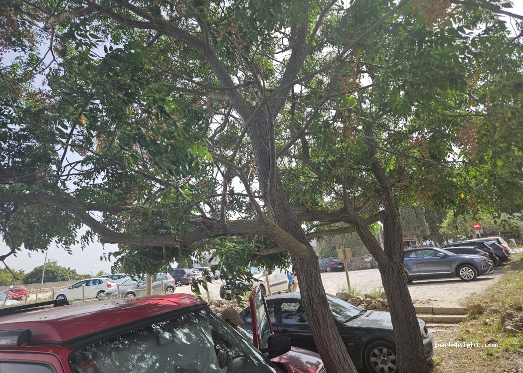 (07400) Alcúdia - 24 Carrer de la Rectoria — foto 4