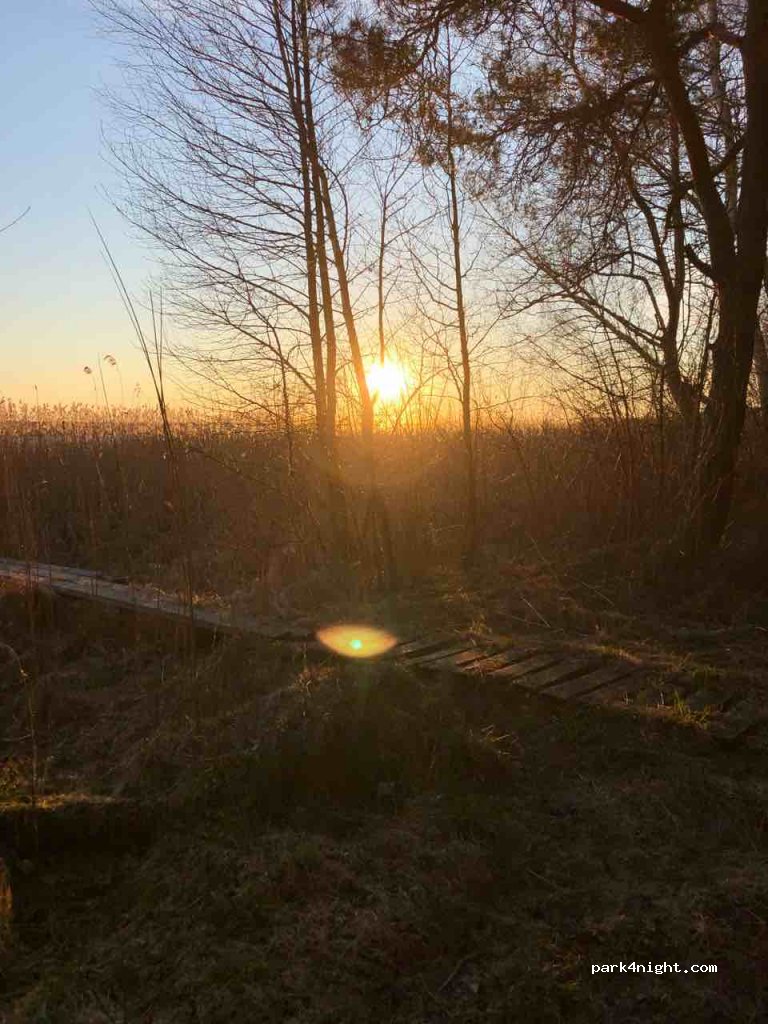 (3113)  - Unnamed Road — foto