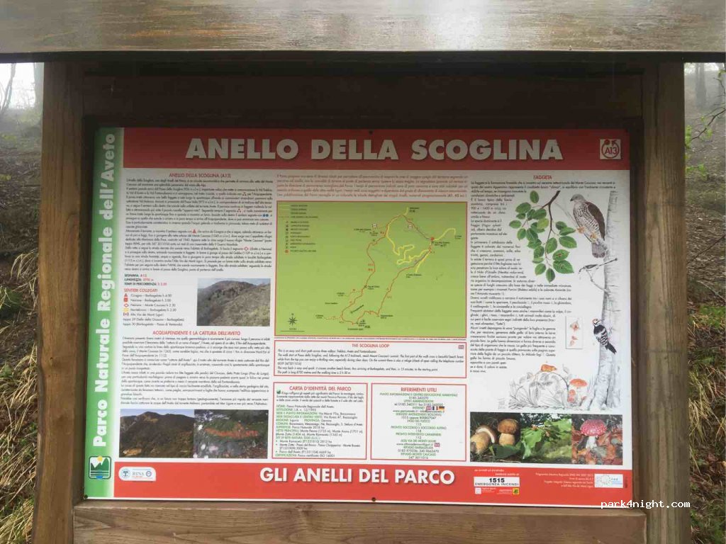 (16040) Favale di Malvaro - Strada Provinciale 56 — foto 2