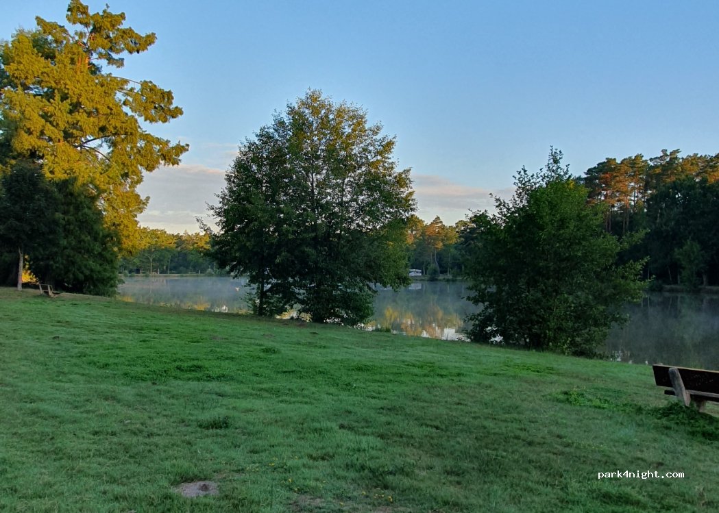 (18330) Neuvy-sur-Barangeon - 27 Rue des Pins — foto 3