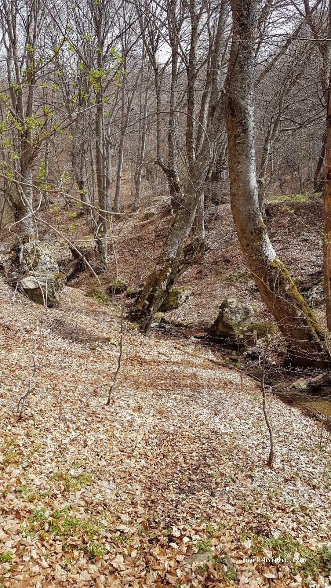 (530 76) Prespes - Unnamed Road — foto