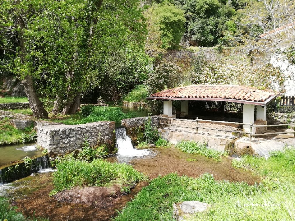 (39718) Surgencia de La Covachona. - 153 Diseminado Sobremazas — foto