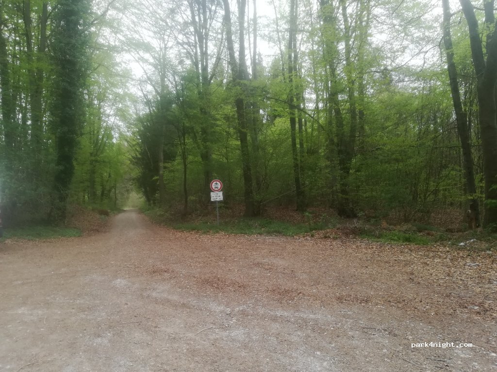 (86911) Dießen am Ammersee - St2055 — foto