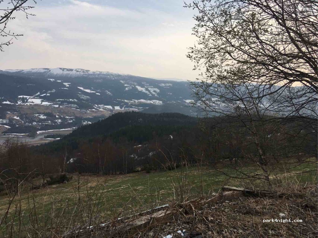 (2967) Ellestadbygde - 3 Sekundær Fylkesveg 293 — foto 3