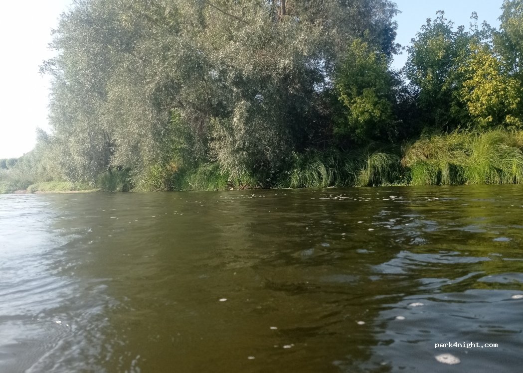 (58450) Neuvy-sur-Loire - 1 Chemin des Mariniers — foto 4