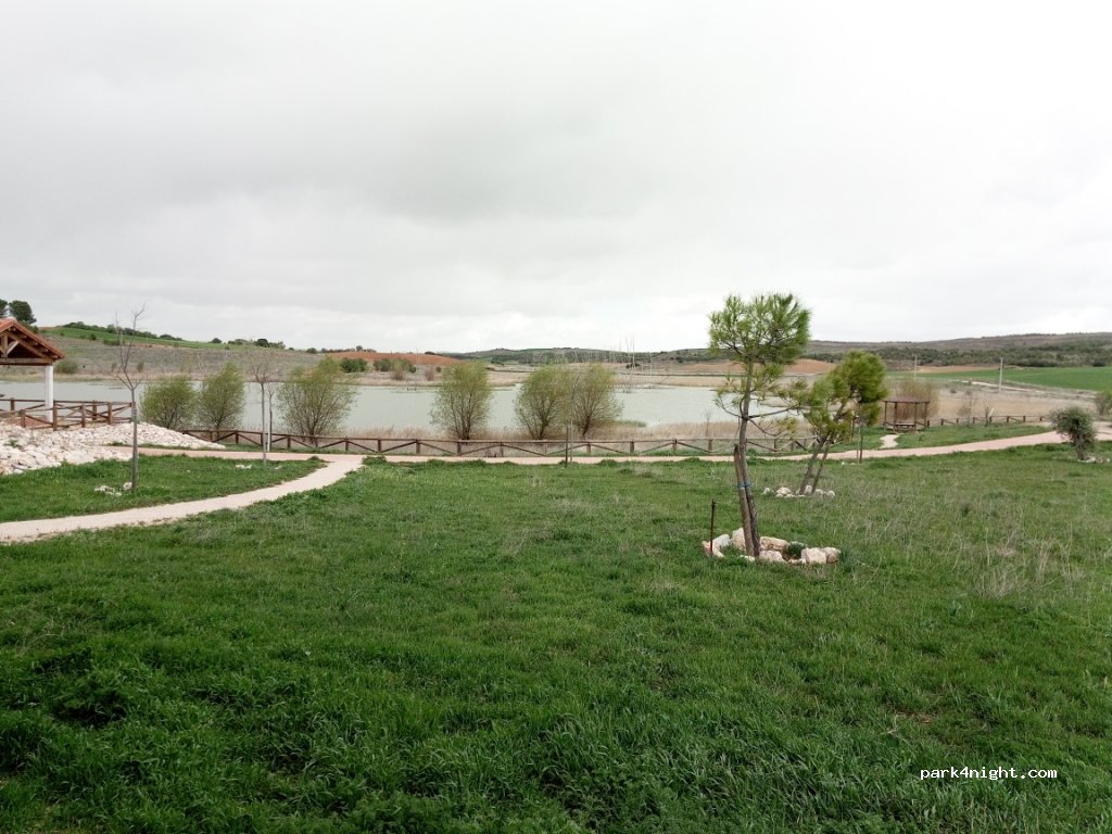(16555) Campos del Paraíso - CM-310 — foto