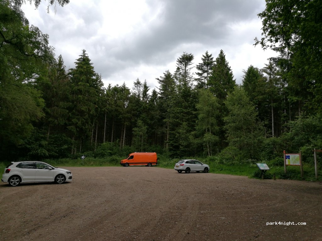 (7731 PP) Ommen - Bergsteeg — foto