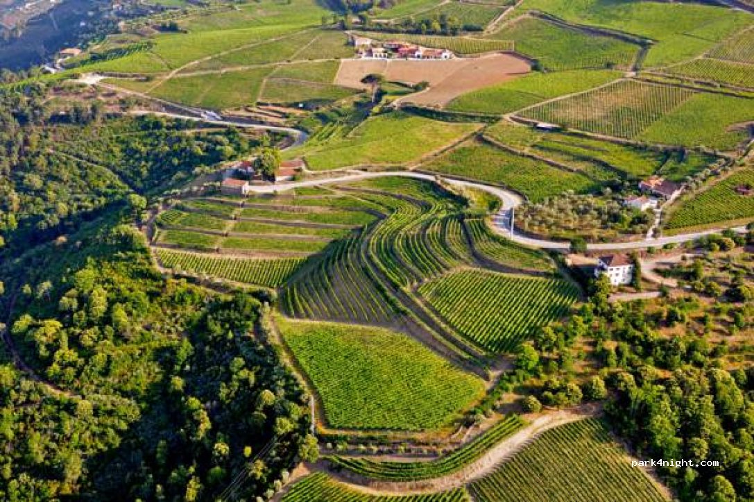 Quinta dos Espinheiros — foto 3