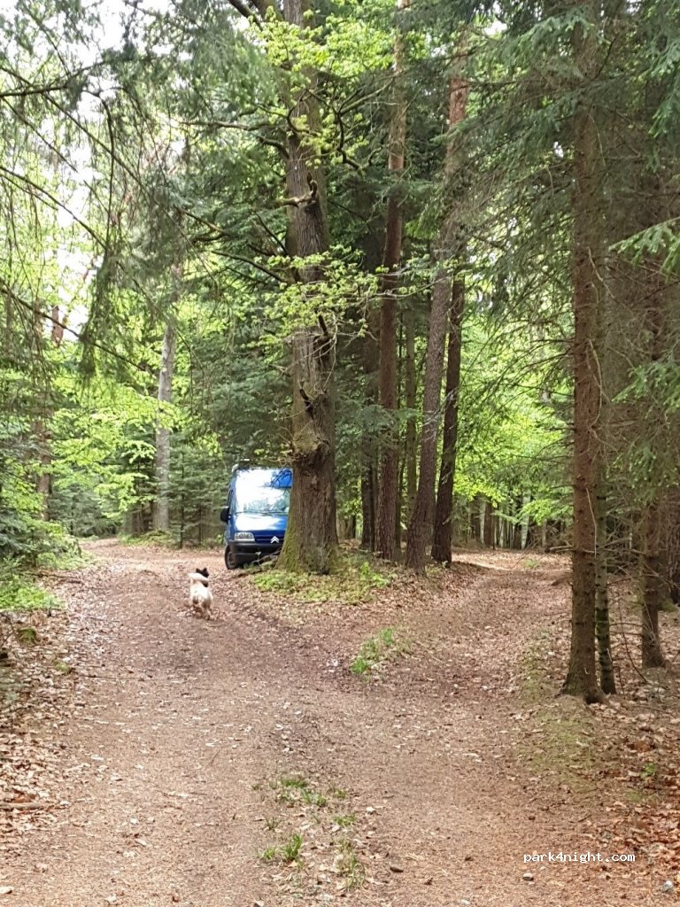 (5231) Schalchen - Oberinnviertler Landesstraße — foto 3