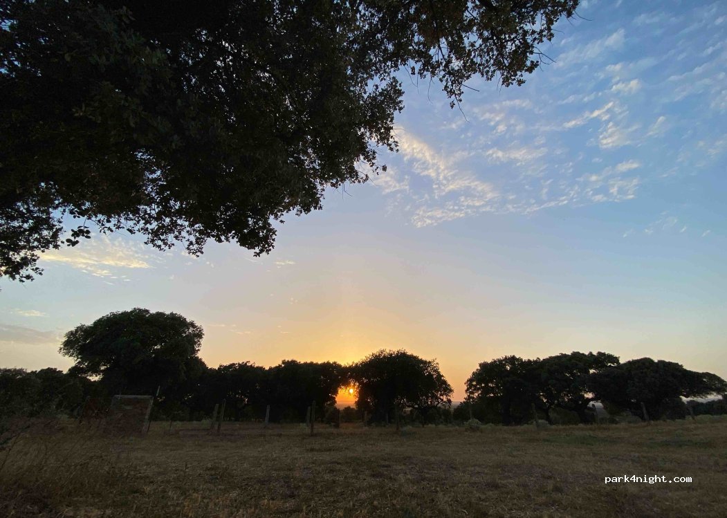 (37451) Matilla de los Caños del Río - Camino Canillas de Arriba — foto 3