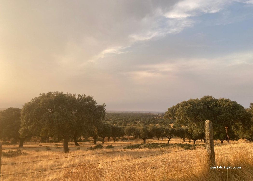 (37451) Matilla de los Caños del Río - Camino Canillas de Arriba — foto 5