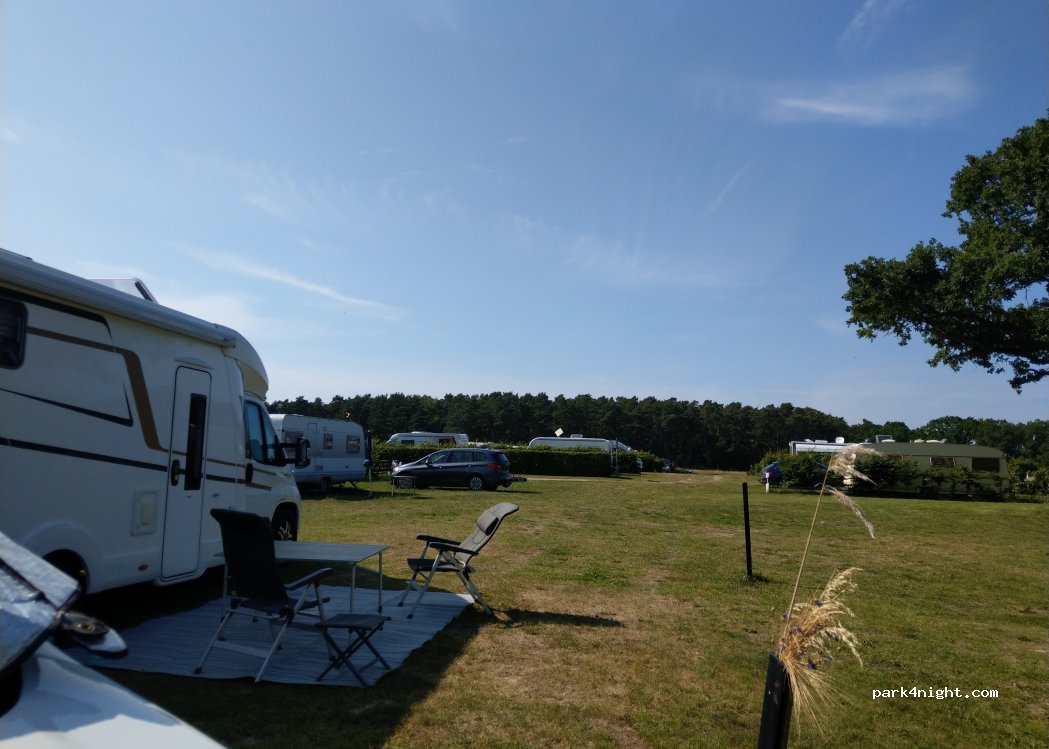 Camping Forest Camp Freest — foto 5