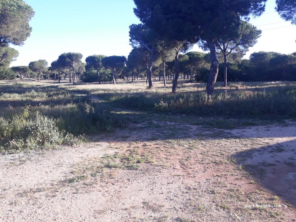 (21130) Moguer - C. Mástil — foto 3