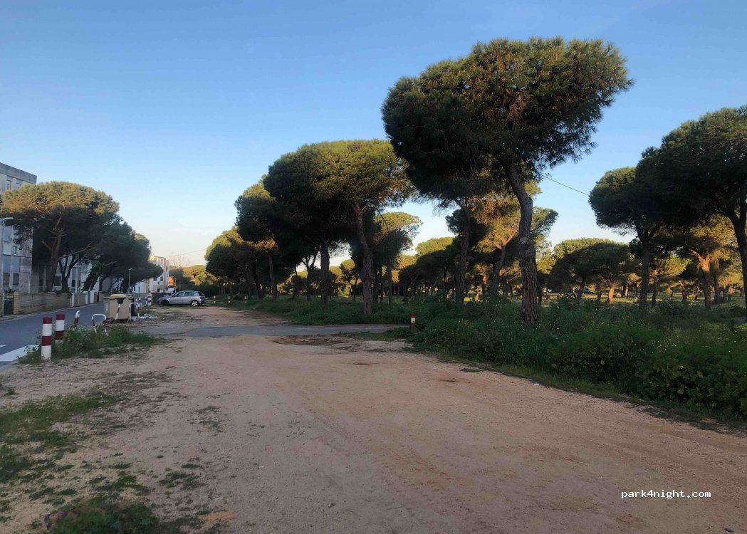 (21130) Moguer - C. Mástil — foto 4