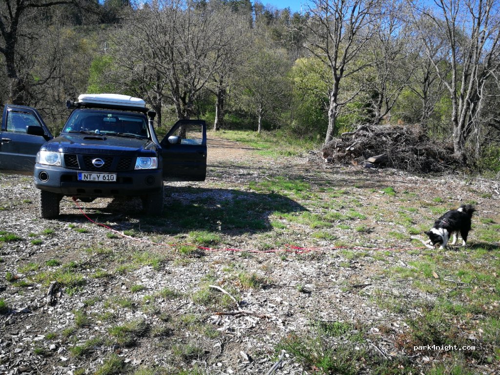 (58026) Travale - Strada Comunale delle Lame — foto 2