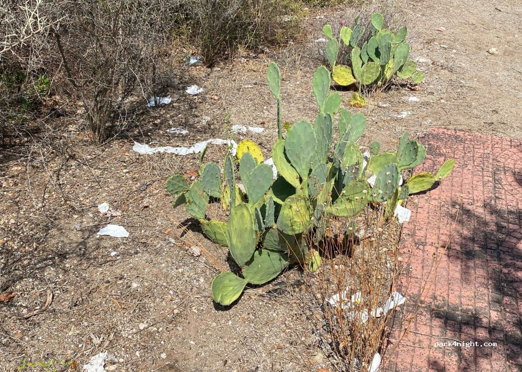(352 00) Arkitsa - Unnamed Rd — foto 4