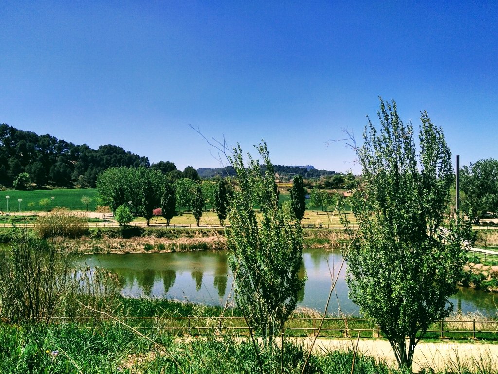 (08788) Vilanova del Camí - Carrer d’Alfons XIII — foto 2