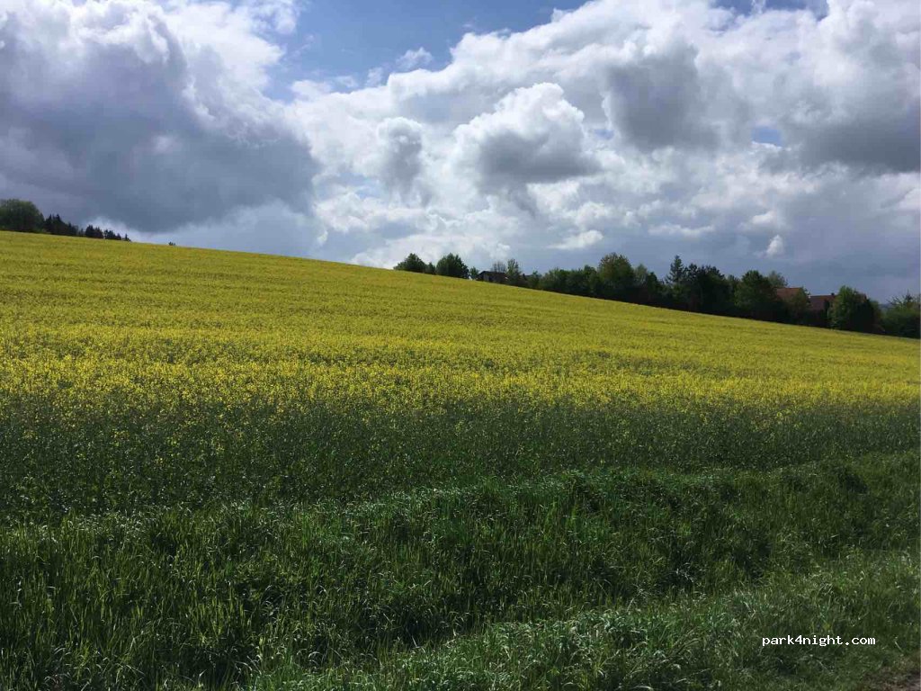 (31840) Hessisch Oldendorf - Pötzer Kirchweg — foto 2