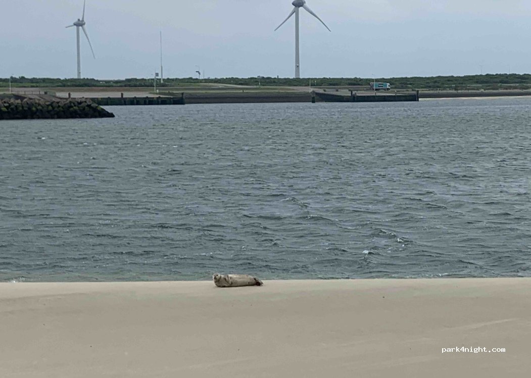 (4675 RB) Vrouwenpolder - Dijkgraaf A.M. Gelukweg — foto 3