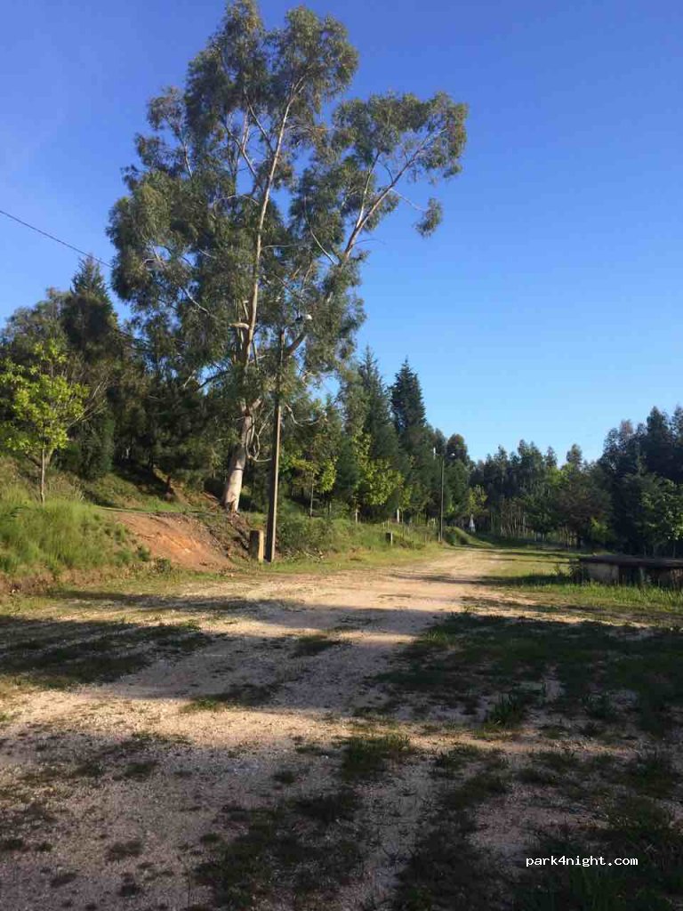 (3850) Albergaria-a-Velha - EM556 — foto 2