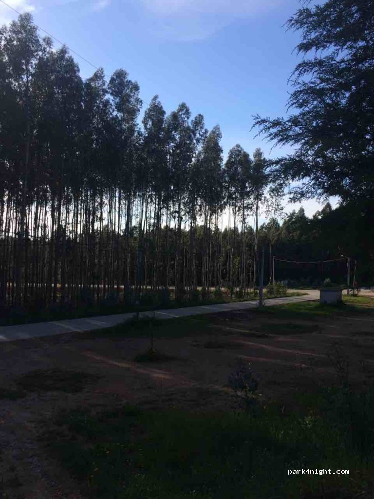 (3850) Albergaria-a-Velha - EM556 — foto 3