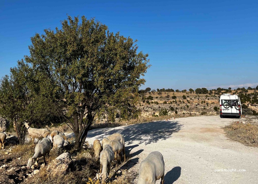 (64900) Ulubey - Unnamed Road — foto 3
