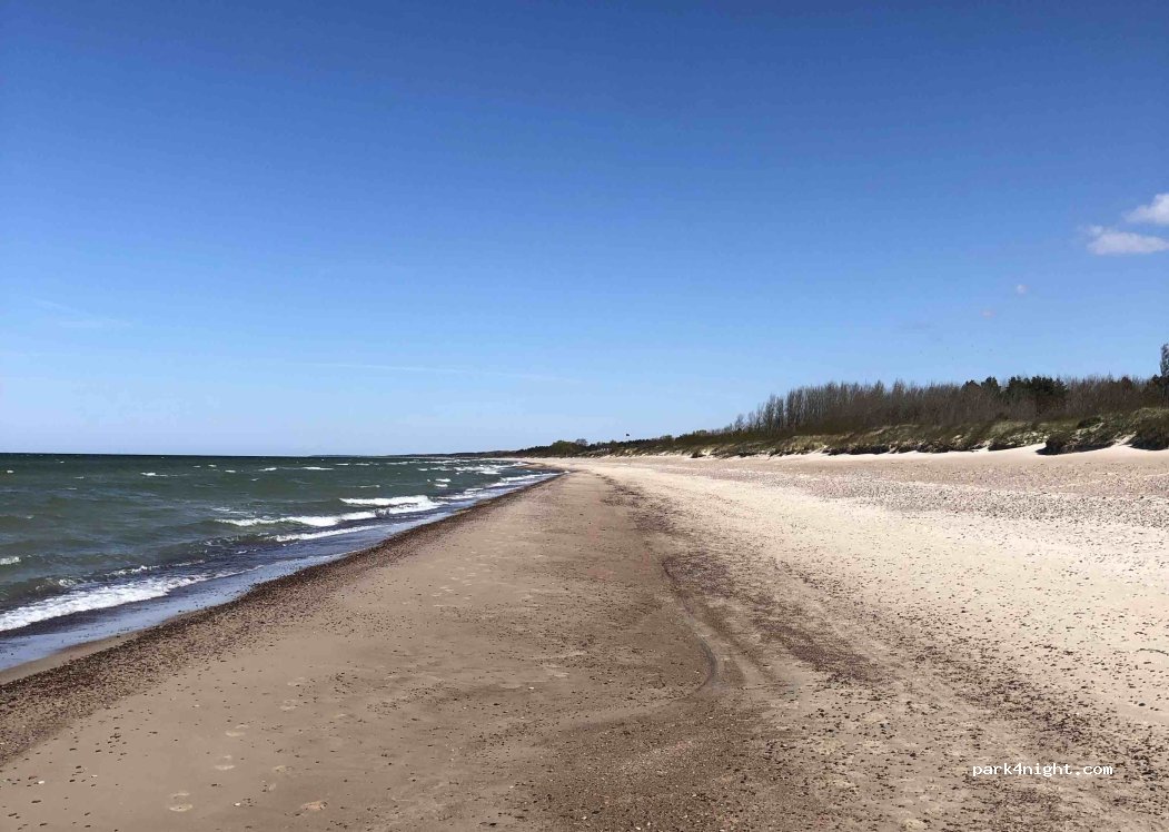 (00317) Palanga - 289 Kuršių takas — foto 4