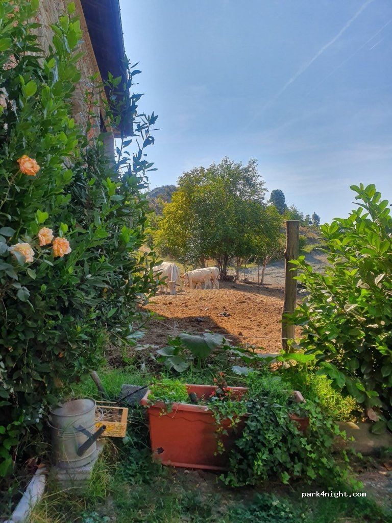 Agriturismo Munarin Caterina — foto 3