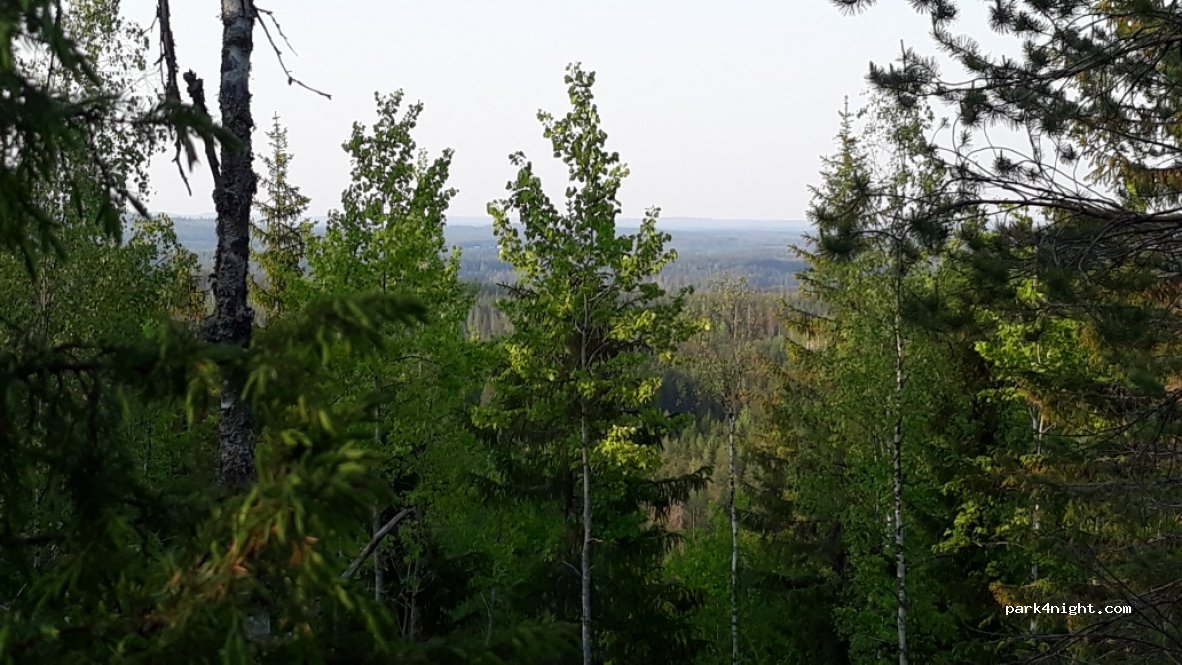 (77700) Rautalampi - Törmälän Metsätie — foto 4