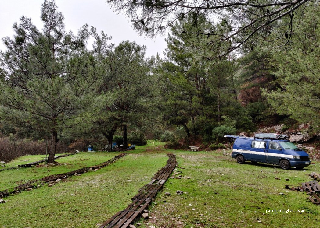 (48740) Muğla - Turunç Yolu — foto