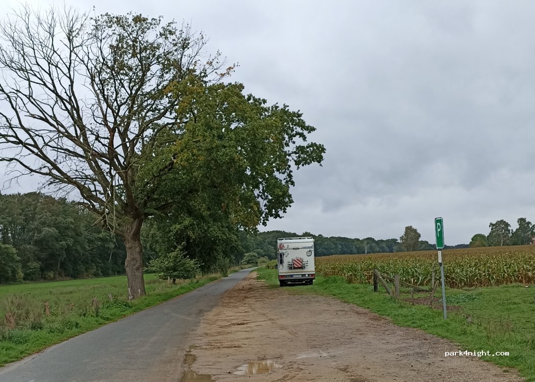 (29484) Langendorf - — foto