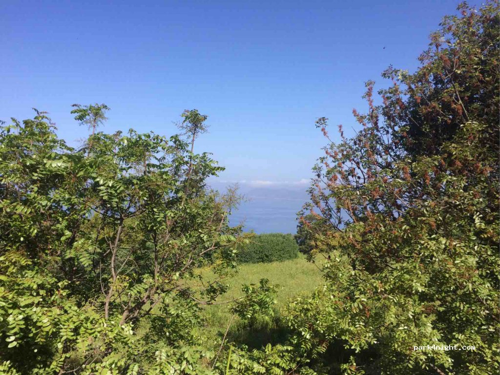 (48300) Muğla - Unnamed Road — foto
