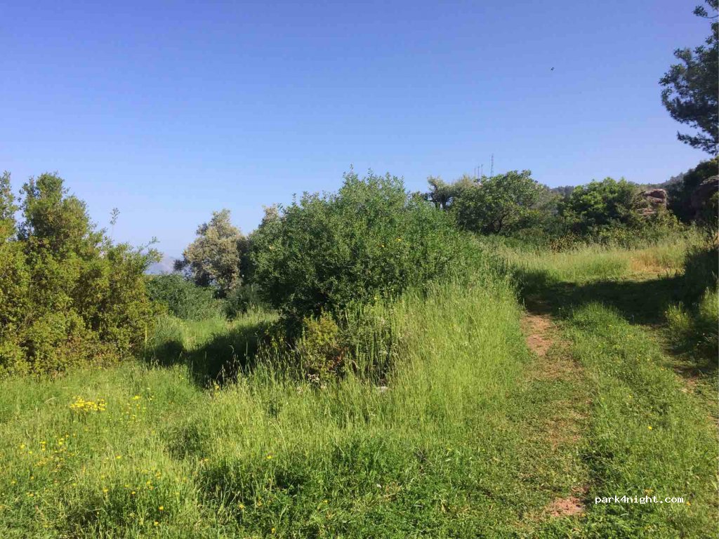 (48300) Muğla - Unnamed Road — foto 2