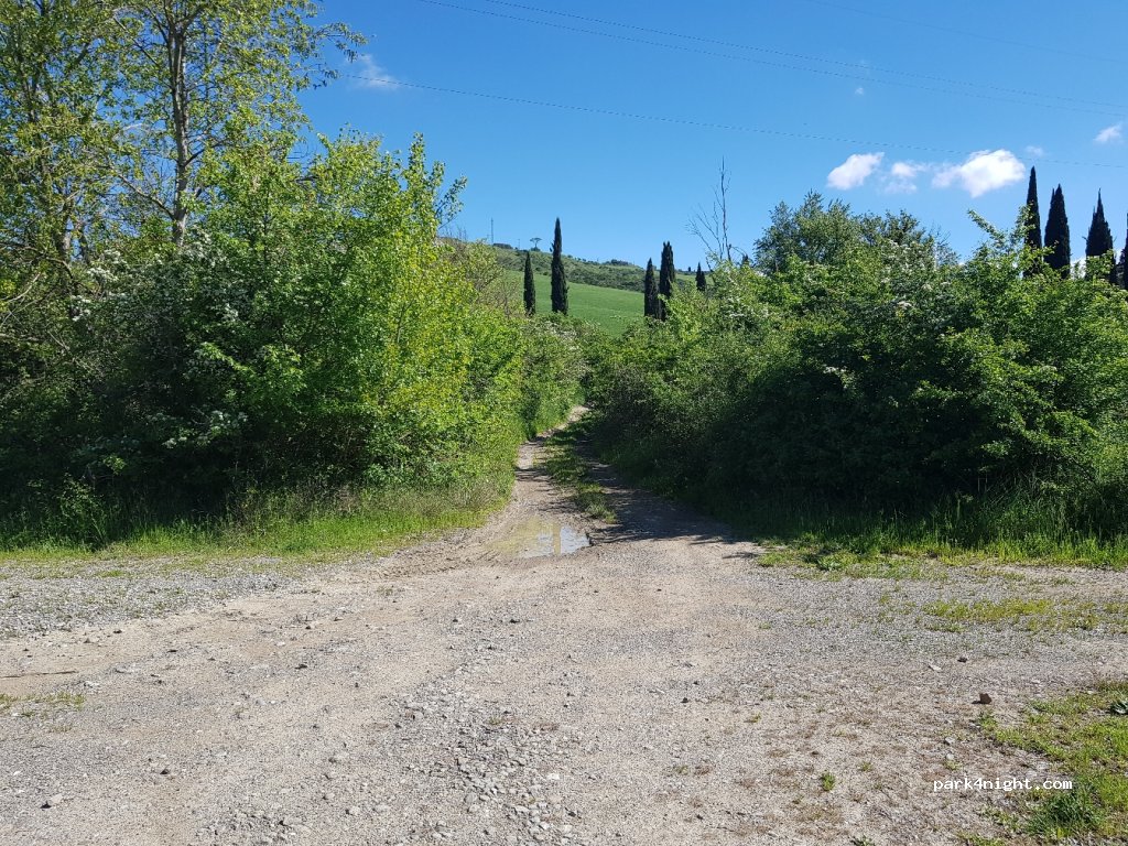 (53026) Pienza - Strada Provinciale 53 — foto