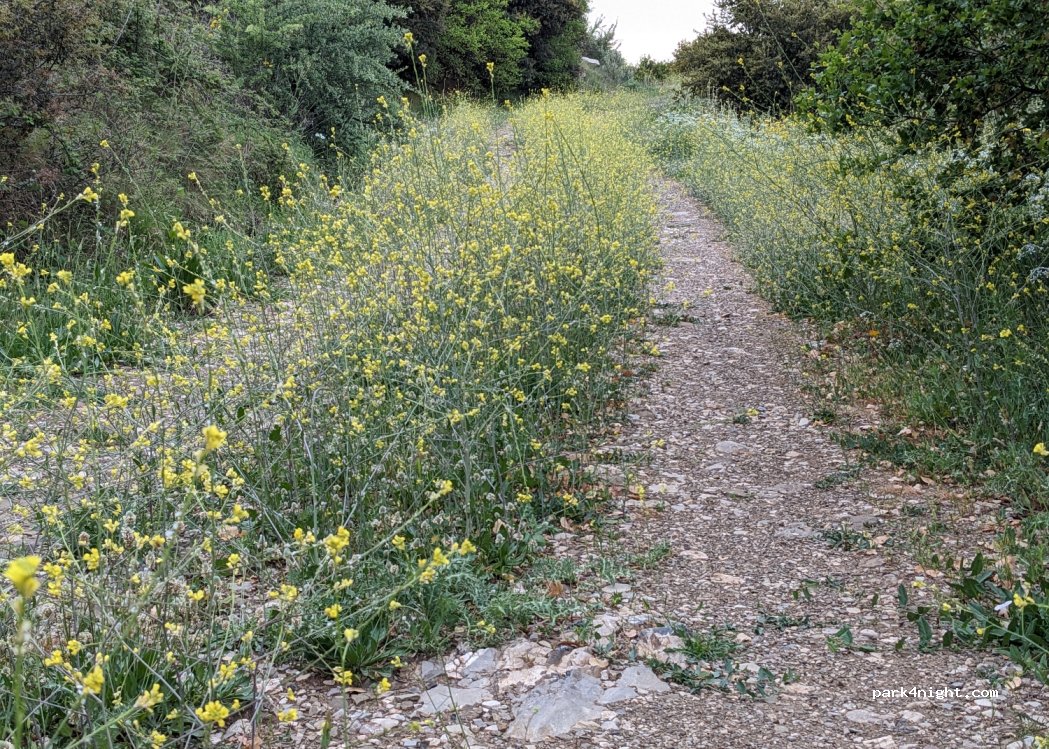 (270 61) Andritsena - Unnamed Road — foto 3