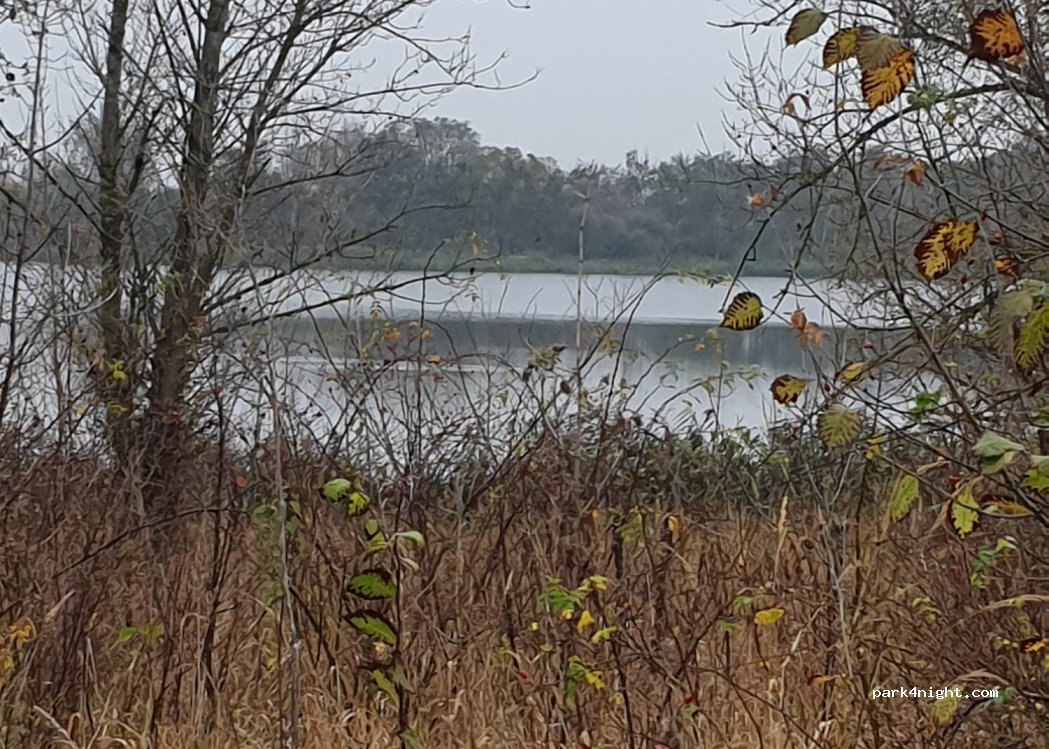 (39122) Magdeburg - Elbweg — foto 5