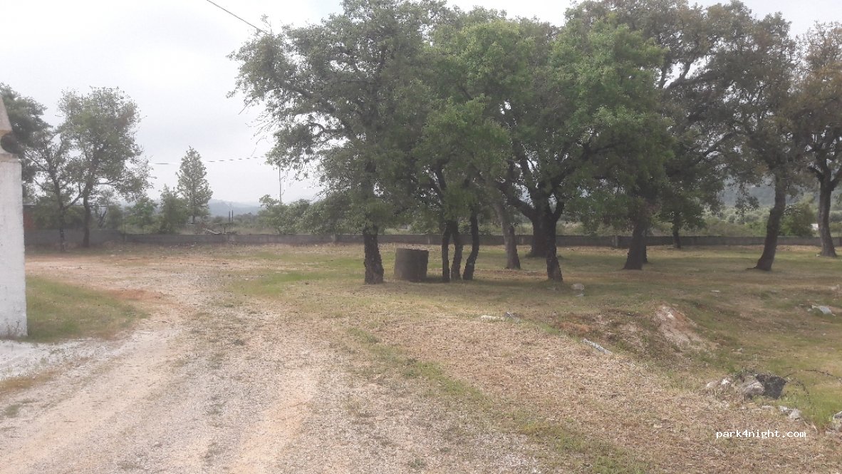 (3230) Rabaçal - N347-1 — foto