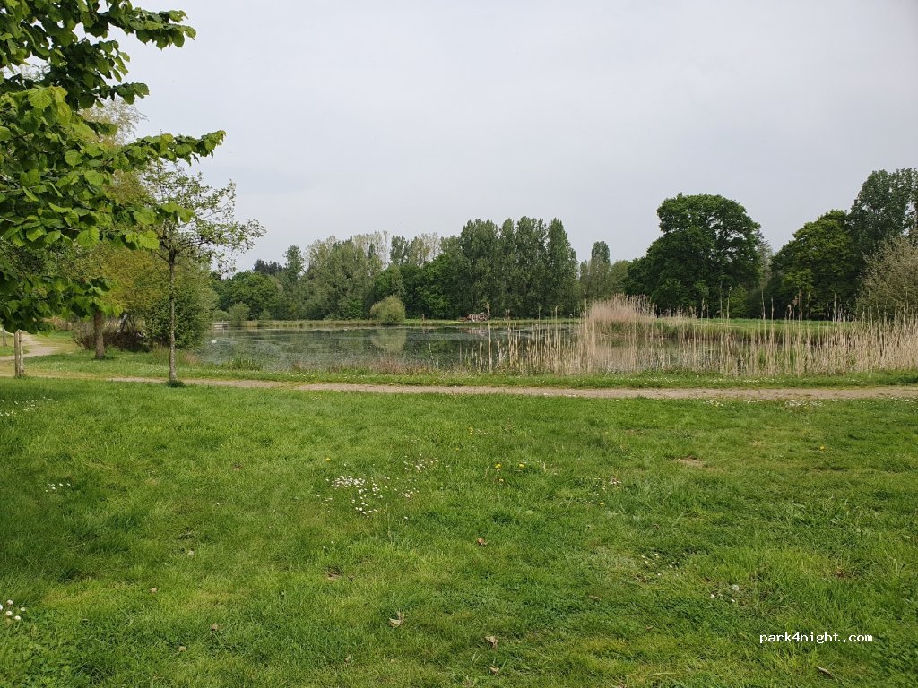 (35290) Gaël - Le Chêne — foto 2