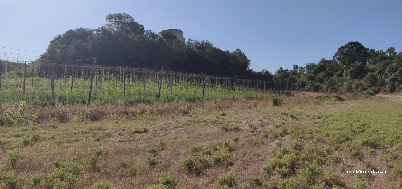 (00128) Roma - Via Valle di Perna — foto 2