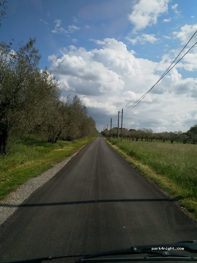 (01010) Marta - Strada Cornos — foto