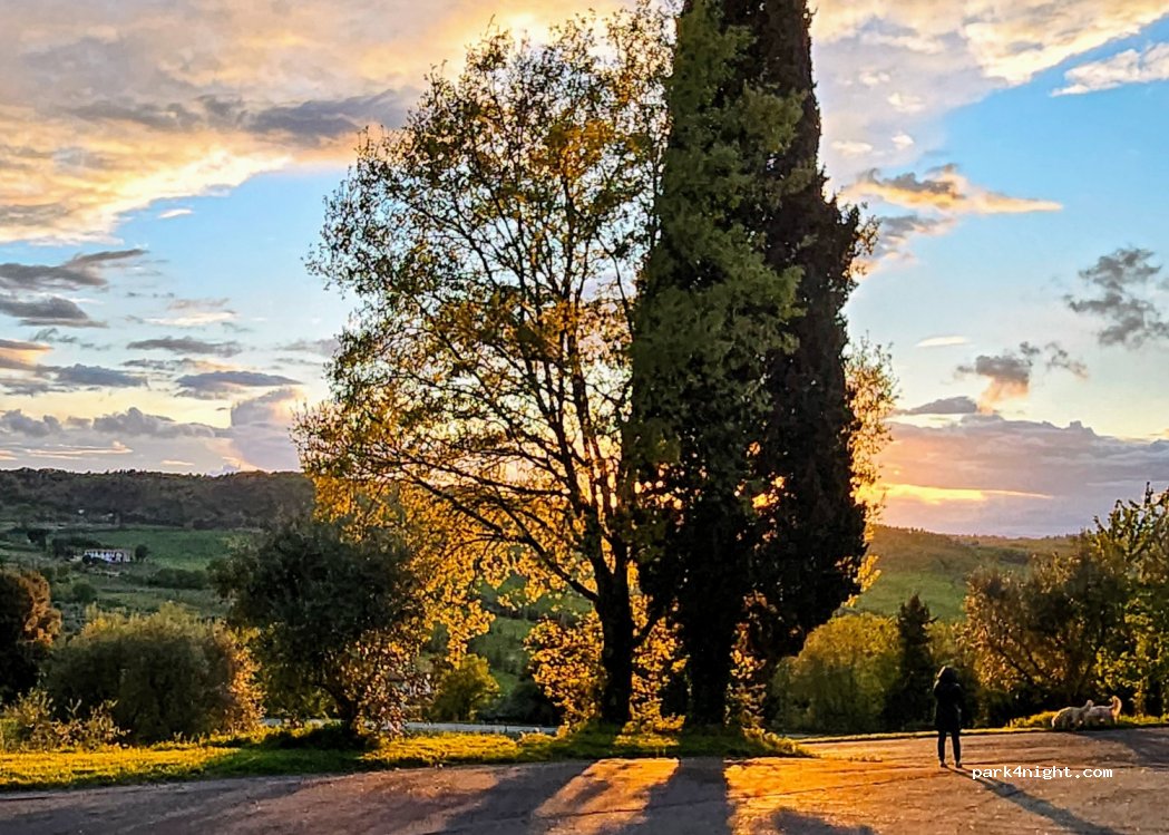 (53045) Montepulciano - Via Emilio Giorgi — foto 4