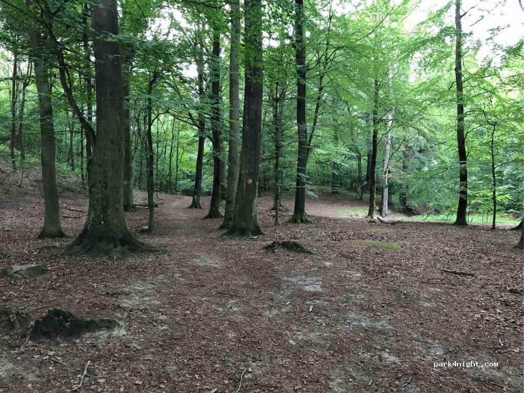 (233 92) Svedala - 316 Torupsvägen — foto 2