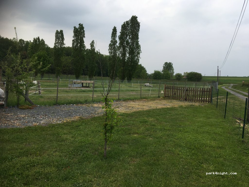 (37320) Saint-Branchs - 492 Taille — foto
