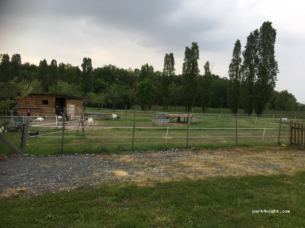 (37320) Saint-Branchs - 492 Taille — foto 4