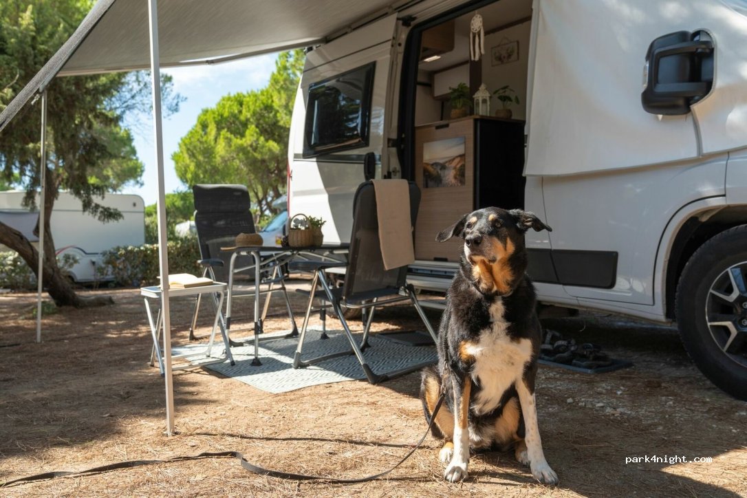 Camping Sandaya Etruria — foto 4