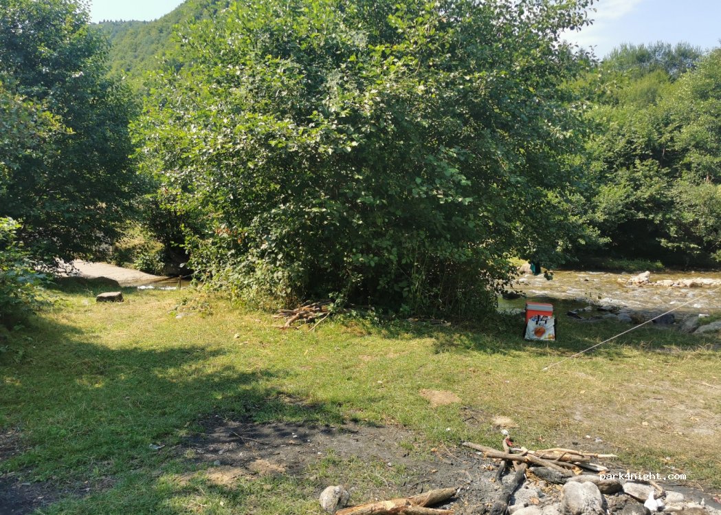 (550001) Păltiniș - DJ106M — foto 2