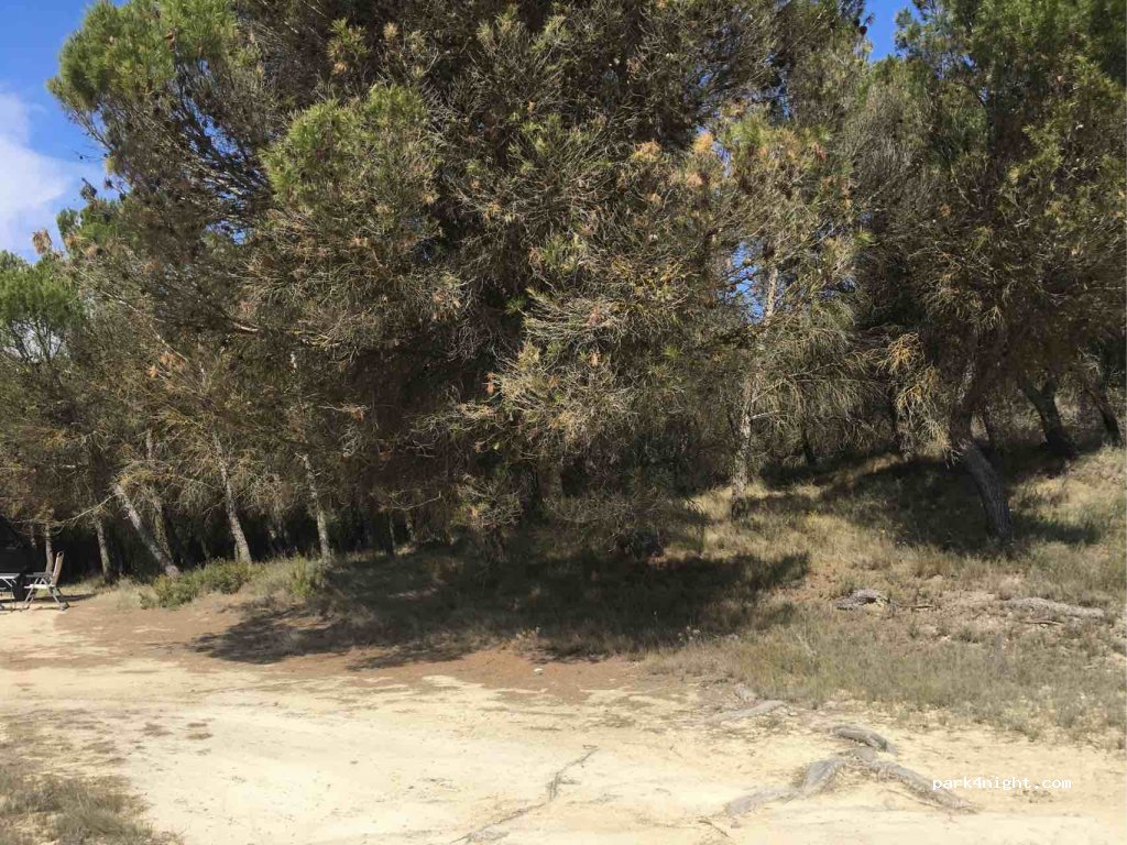 (31300) Tafalla - Carretera de la Zona Media — foto 3