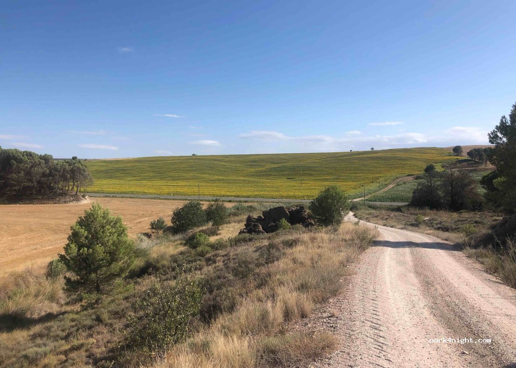 (31300) Tafalla - Carretera de la Zona Media — foto 4