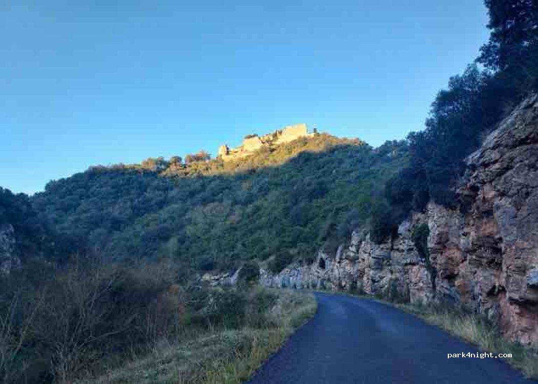 (11330) Termes - D40 — foto 4