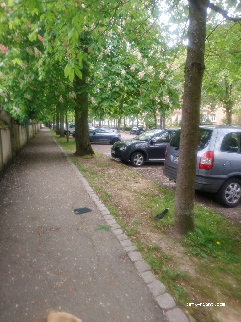 (57070) Metz - 45 Rue du Roi Albert — foto